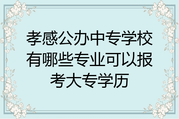 孝感公办中专学校有哪些专业可以报考大专学历
