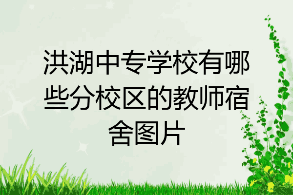 洪湖中专学校有哪些分校区的教师宿舍图片