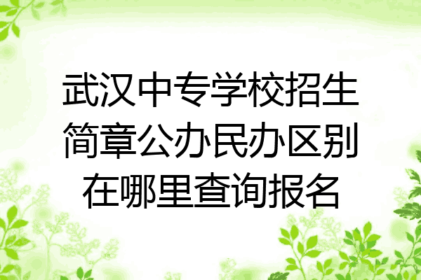 武汉中专学校招生简章公办民办区别在哪里查询报名
