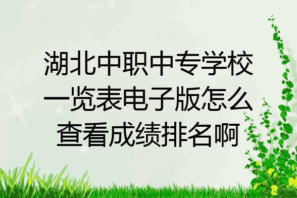 湖北中职中专学校一览表电子版怎么查看成绩排名啊