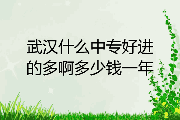 武汉什么中专好进的多啊多少钱一年