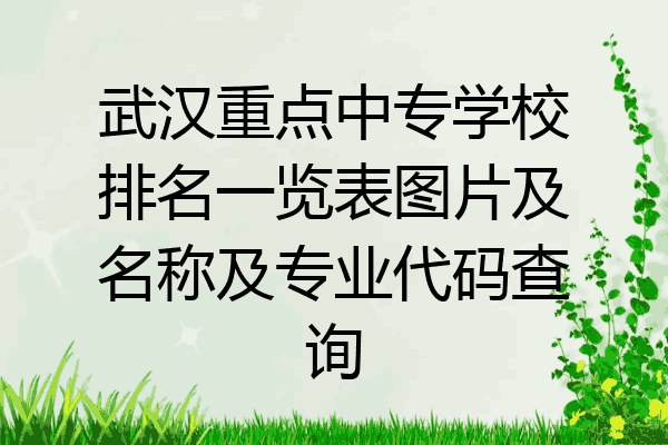 武汉重点中专学校排名一览表图片及名称及专业代码查询