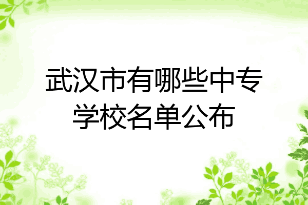 武汉市有哪些中专学校名单公布