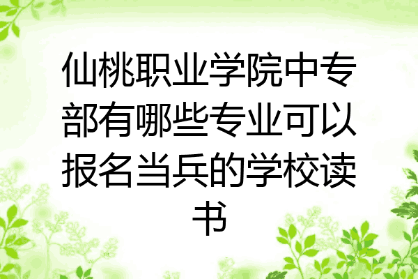 仙桃职业学院中专部有哪些专业可以报名当兵的学校读书