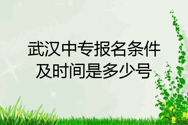武汉中专报名条件及时间是多少号