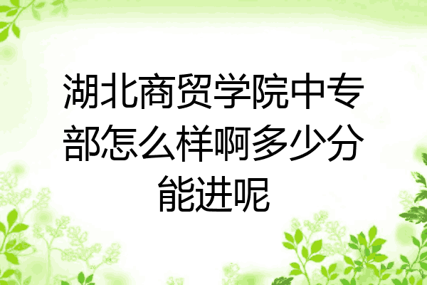 湖北商贸学院中专部怎么样啊多少分能进呢