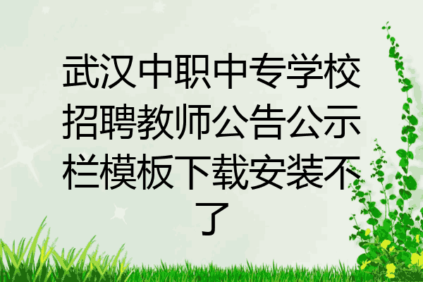 武汉中职中专学校招聘教师公告公示栏模板下载安装不了