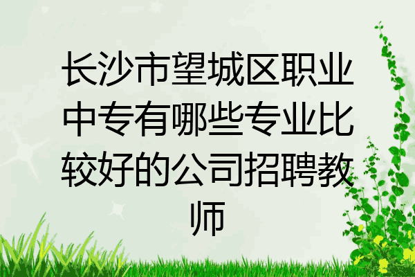 长沙市望城区职业中专有哪些专业比较好的公司招聘教师