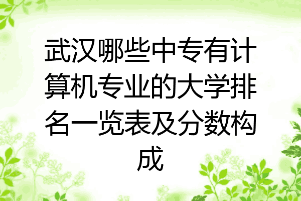 武汉哪些中专有计算机专业的大学排名一览表及分数构成