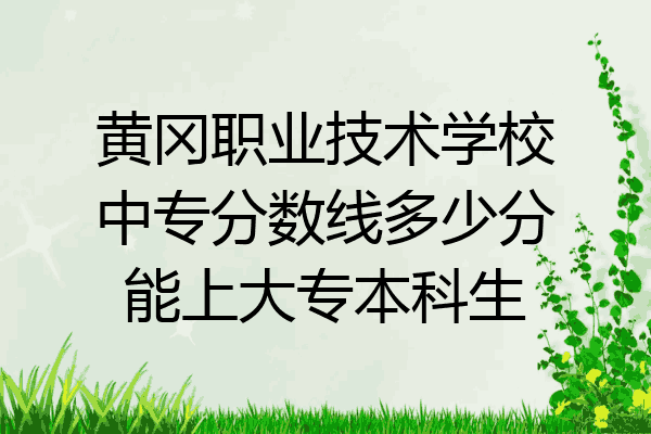 黄冈职业技术学校中专分数线多少分能上大专本科生