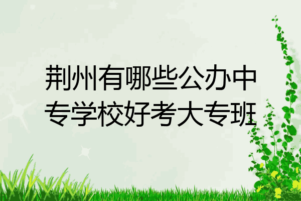 荆州有哪些公办中专学校好考大专班