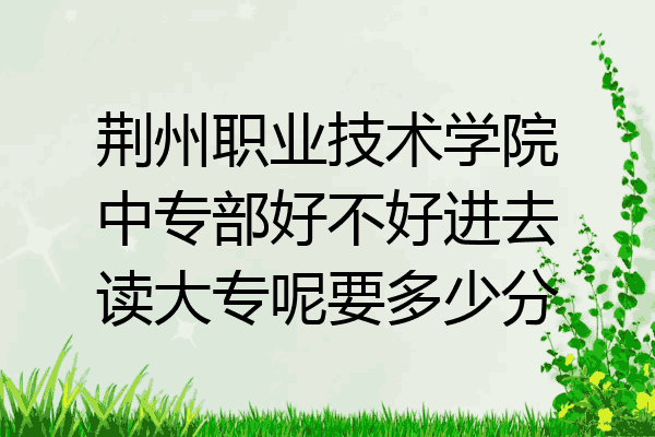 荆州职业技术学院中专部好不好进去读大专呢要多少分