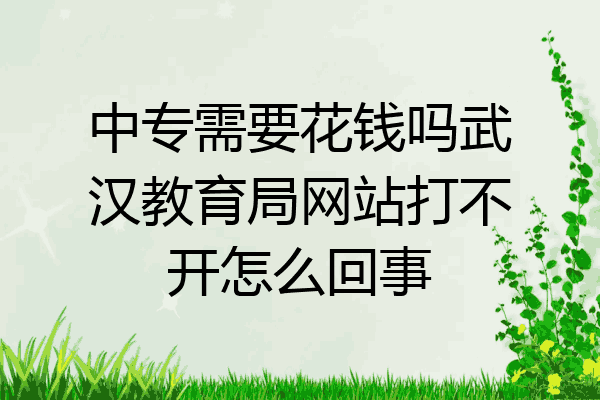中专需要花钱吗武汉教育局网站打不开怎么回事