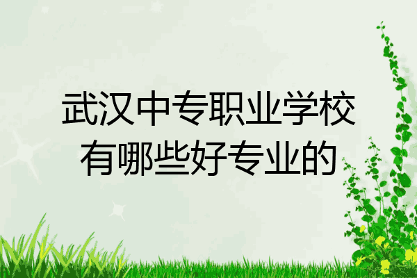 武汉中专职业学校有哪些好专业的