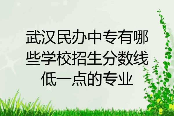 武汉民办中专有哪些学校招生分数线低一点的专业