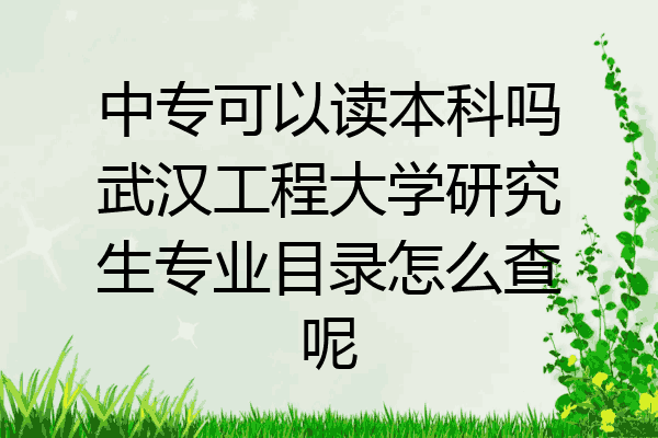 中专可以读本科吗武汉工程大学研究生专业目录怎么查呢