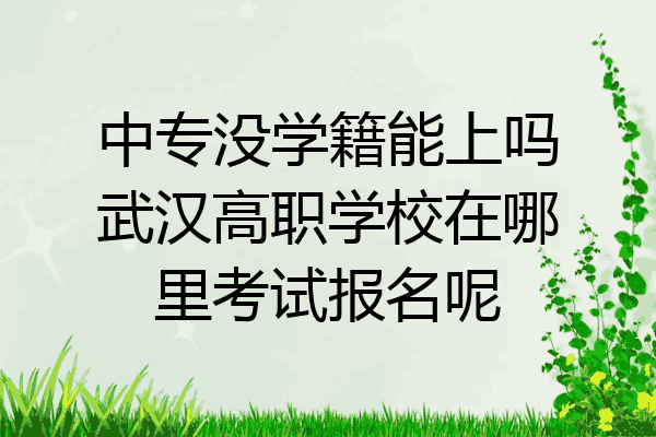 中专没学籍能上吗武汉高职学校在哪里考试报名呢