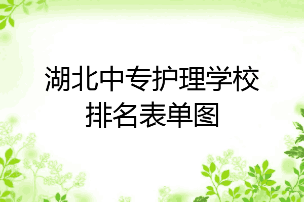 湖北中专护理学校排名表单图