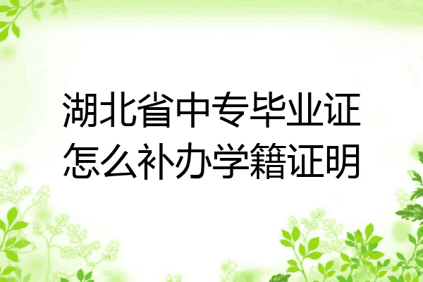 湖北省中专毕业证怎么补办学籍证明