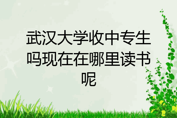 武汉大学收中专生吗现在在哪里读书呢