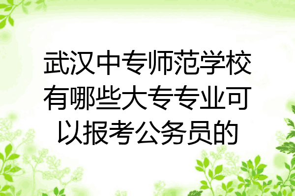 武汉中专师范学校有哪些大专专业可以报考公务员的