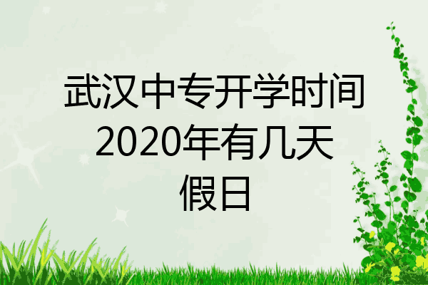 武汉中专开学时间2020年有几天假日