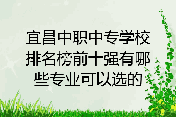 宜昌中职中专学校排名榜前十强有哪些专业可以选的