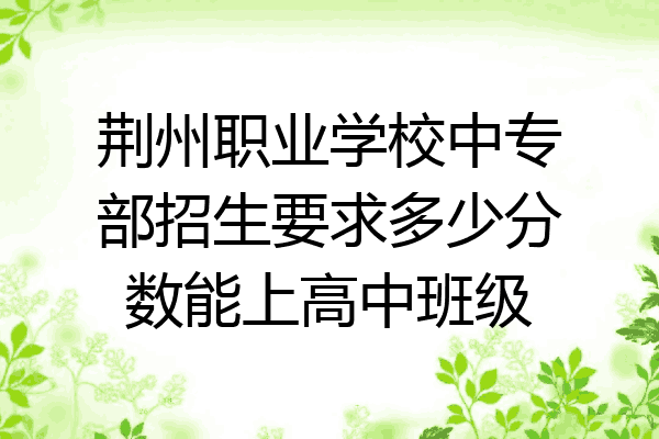 荆州职业学校中专部招生要求多少分数能上高中班级