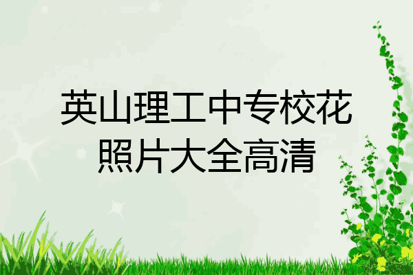 英山理工中专校花照片大全高清