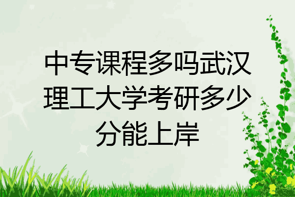 中专课程多吗武汉理工大学考研多少分能上岸