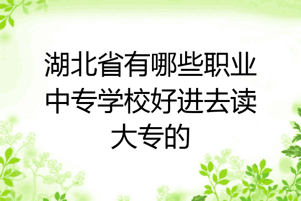 湖北省有哪些职业中专学校好进去读大专的