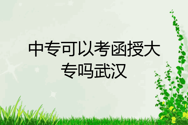 中专可以考函授大专吗武汉