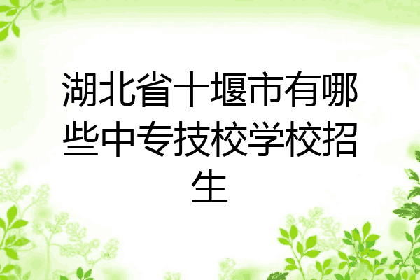 湖北省十堰市有哪些中专技校学校招生