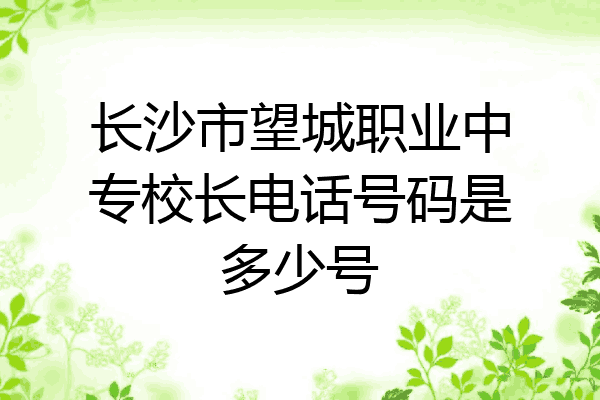 长沙市望城职业中专校长电话号码是多少号