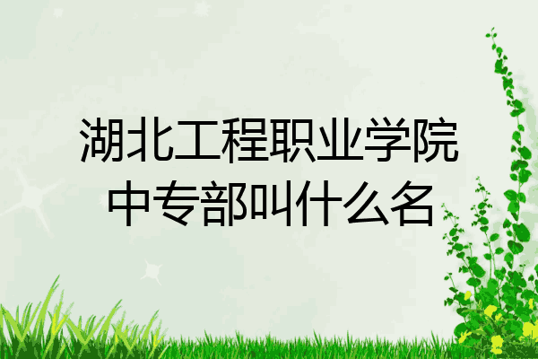 湖北工程职业学院中专部叫什么名