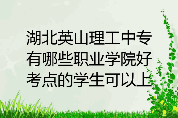湖北英山理工中专有哪些职业学院好考点的学生可以上