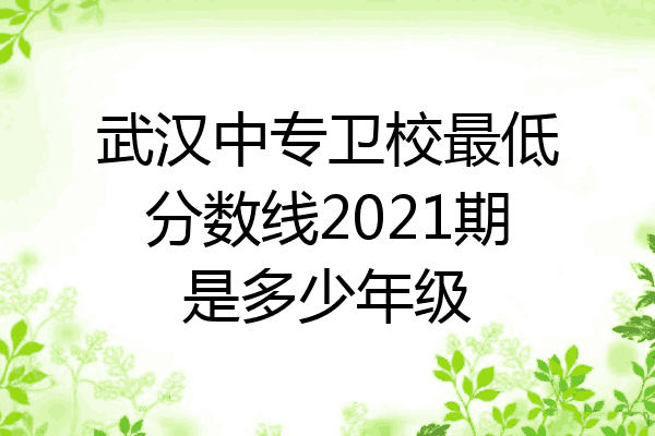 武汉中专卫校最低分数线2021期是多少年级