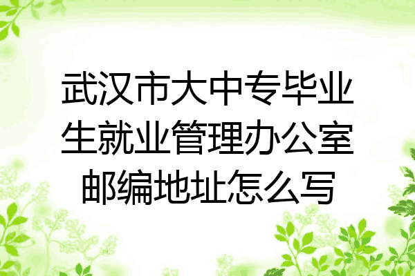 武汉市大中专毕业生就业管理办公室邮编地址怎么写