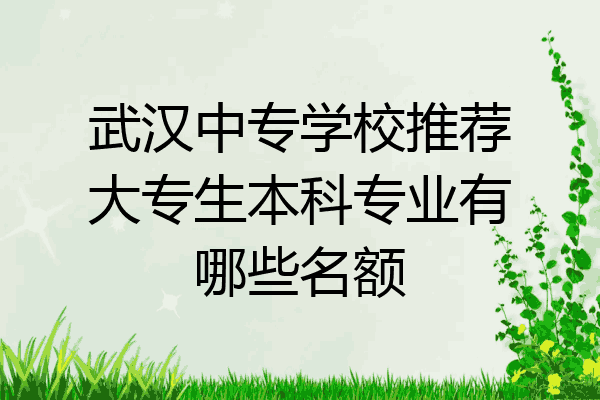 武汉中专学校推荐大专生本科专业有哪些名额