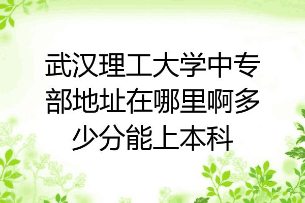 武汉理工大学中专部地址在哪里啊多少分能上本科