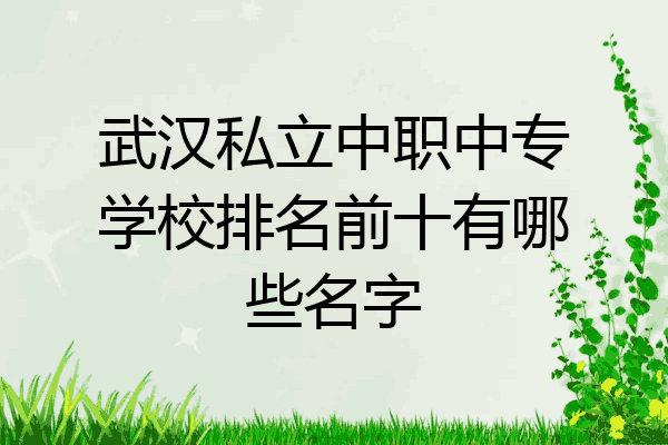 武汉私立中职中专学校排名前十有哪些名字