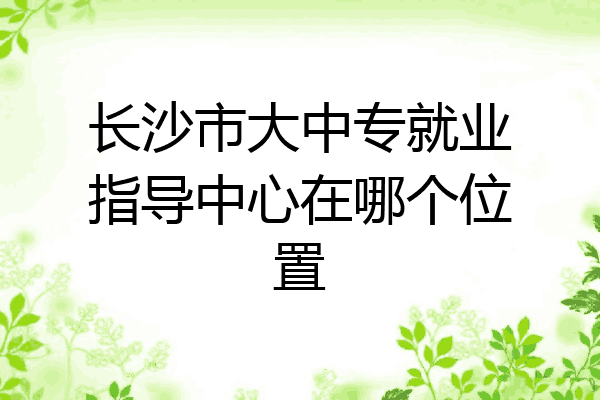 长沙市大中专就业指导中心在哪个位置