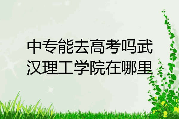 中专能去高考吗武汉理工学院在哪里