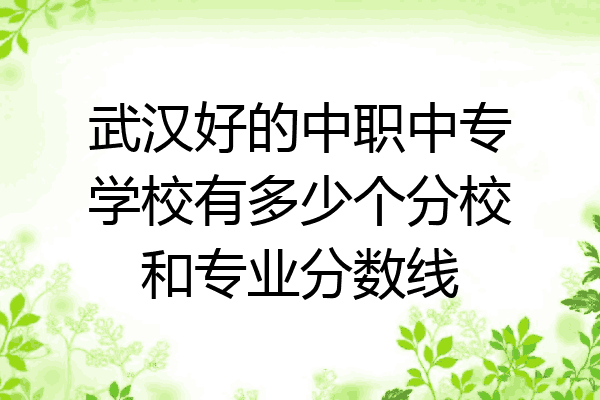 武汉好的中职中专学校有多少个分校和专业分数线