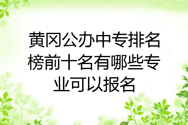 黄冈公办中专排名榜前十名有哪些专业可以报名