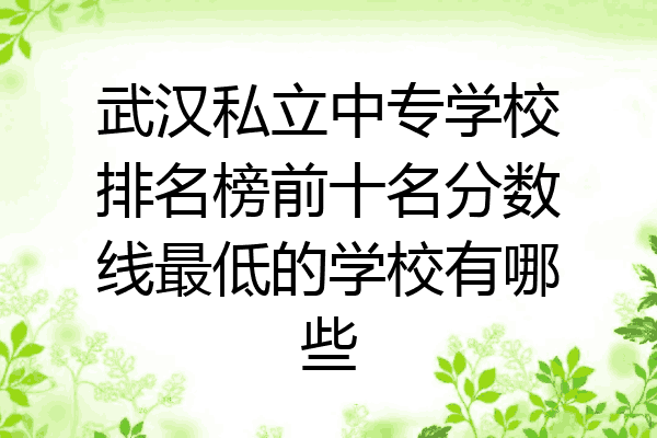 武汉私立中专学校排名榜前十名分数线最低的学校有哪些