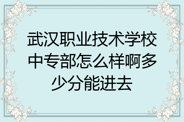 武汉职业技术学校中专部怎么样啊多少分能进去
