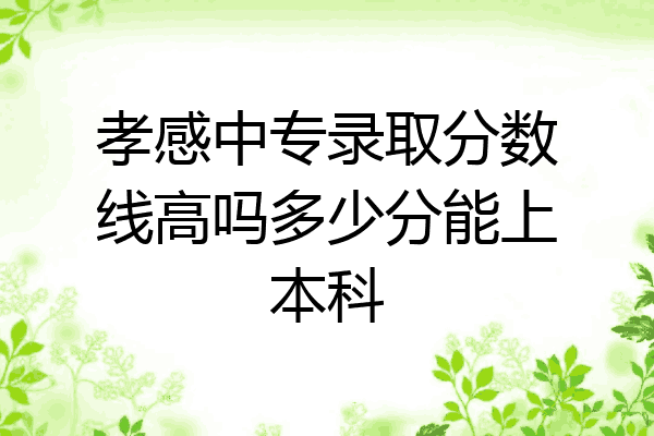 孝感中专录取分数线高吗多少分能上本科