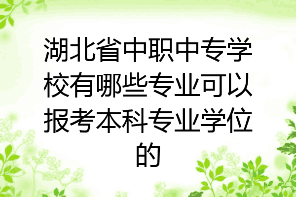 湖北省中职中专学校有哪些专业可以报考本科专业学位的