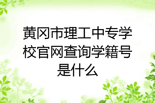 黄冈市理工中专学校官网查询学籍号是什么